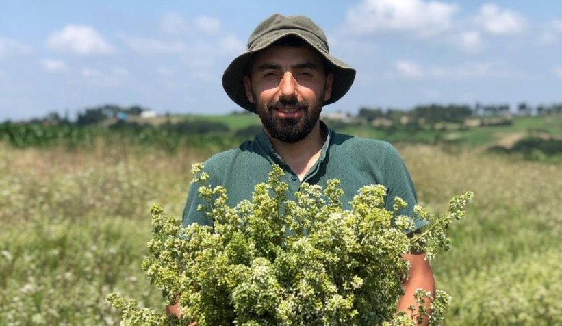 İlk kez dikilen İstanbul kekiğinin hasadı yapıldı