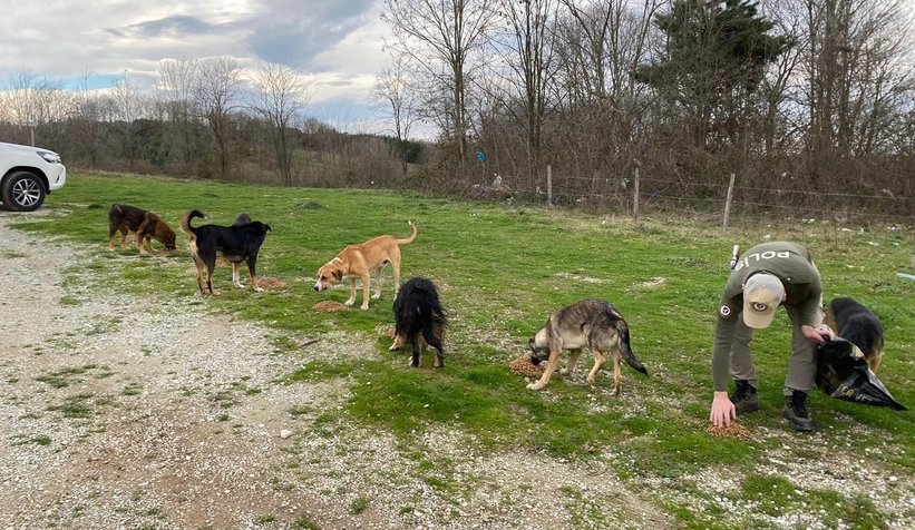 İmdatlarına HAYDİ ekibi yetişti