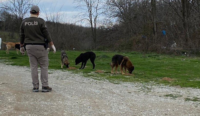 İmdatlarına HAYDİ ekibi yetişti