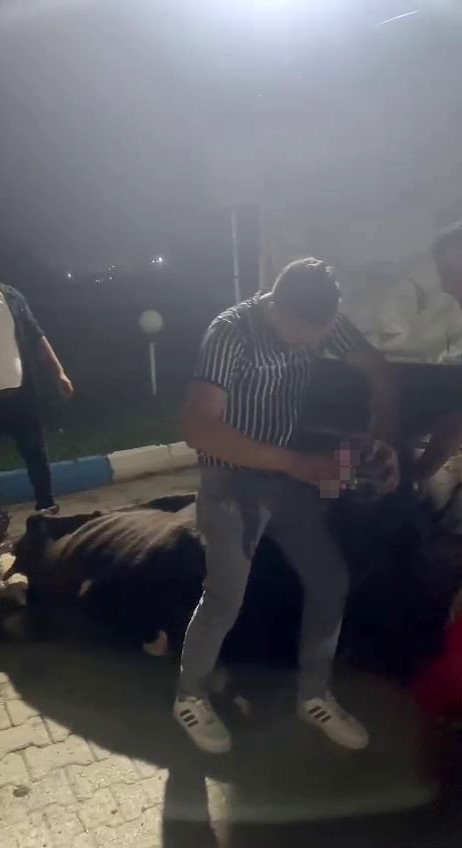 İneğe eziyet olayında bir açıklamada Valilikten