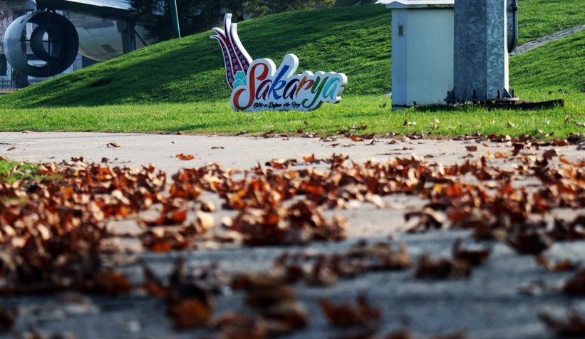 İnsanların boşalttığı şehri doğa süsledi