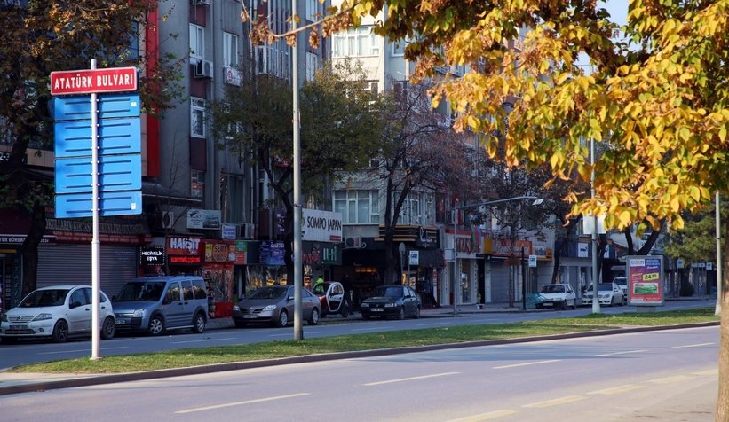 İnsanların boşalttığı şehri doğa süsledi