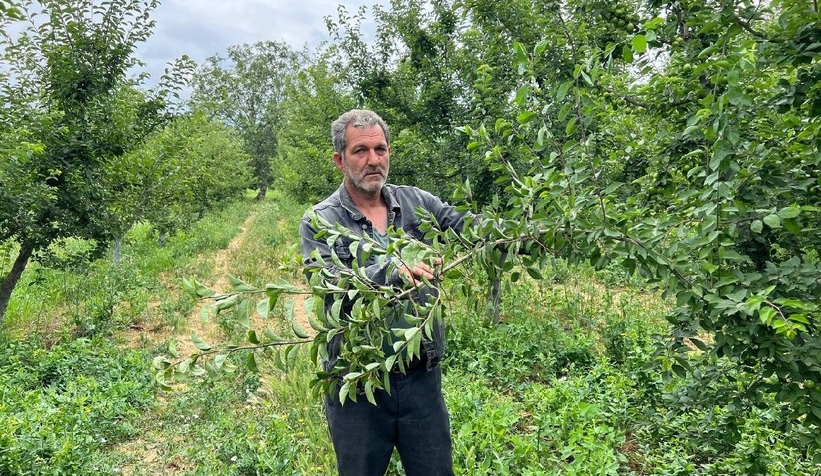 İşçilik güzel, hırsızla çay içmek istiyorum