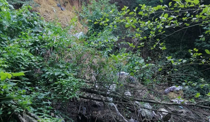 İşkembe ve sakatatları dereye attılar