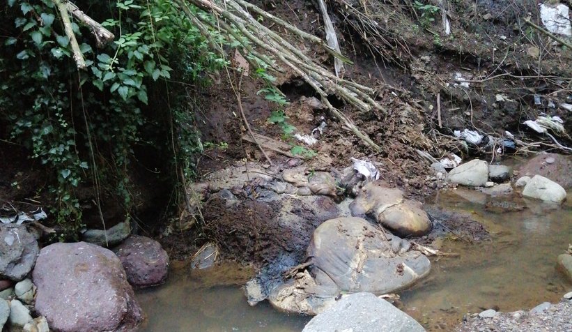 İşkembe ve sakatatları dereye attılar
