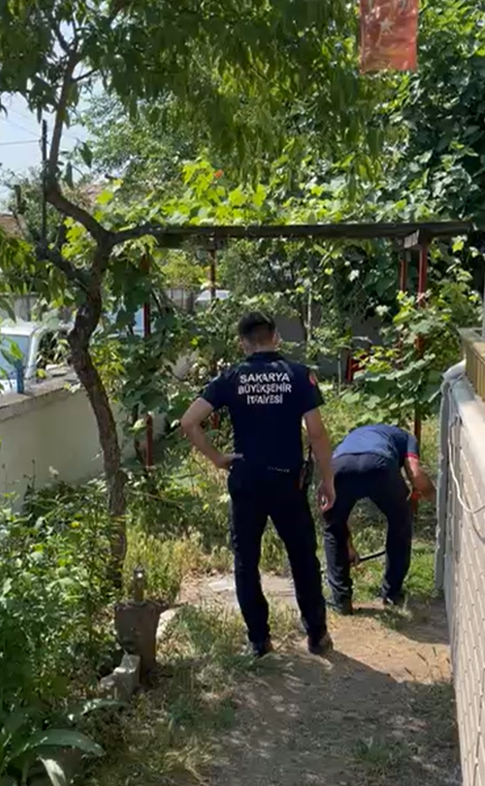 itfaiyeden-kedi-kurtarma-operasyonuckrjq2u1be