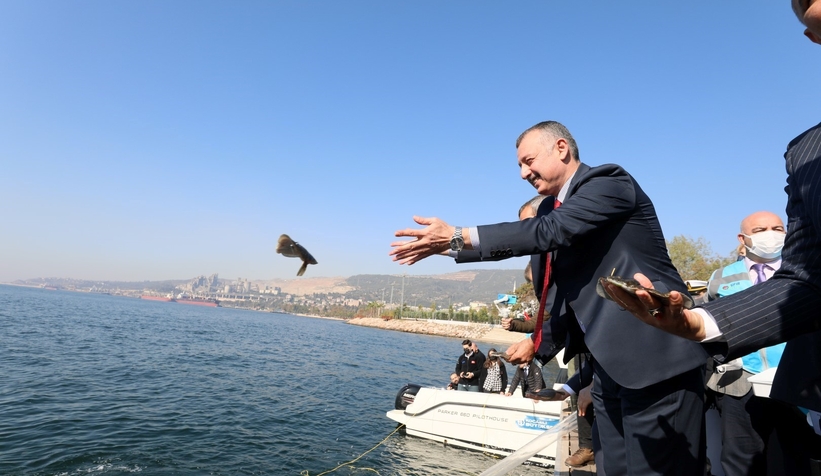 izmit-korfezi-ne-5-bin-balik-daha-salinacakbuduuwdzmt