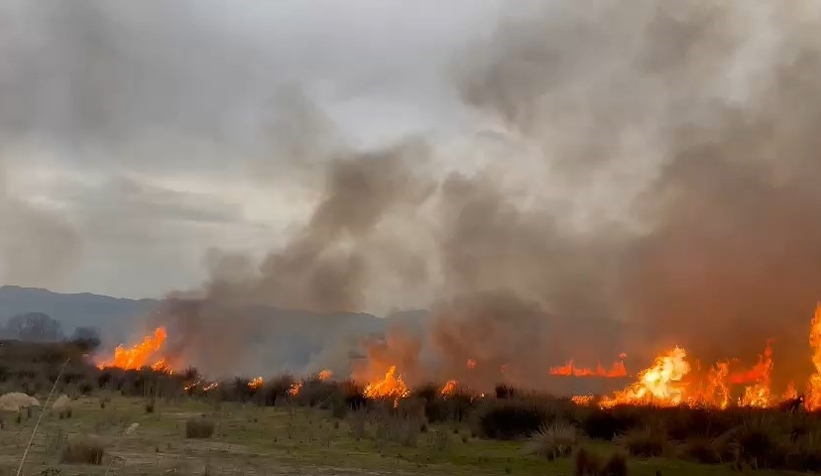 İznik Gölü'nde sazlık alanda korkutan yangın