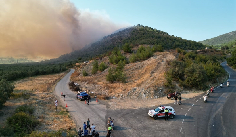 İznik'te orman yangını
