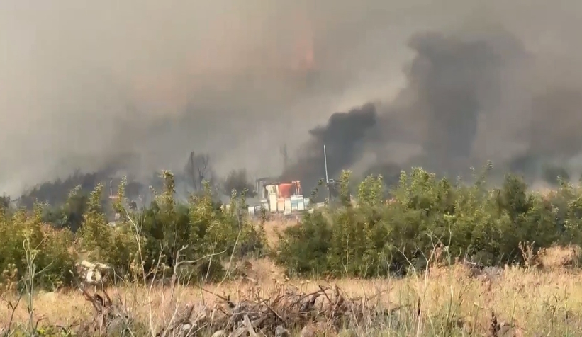 İznik'te orman yangını