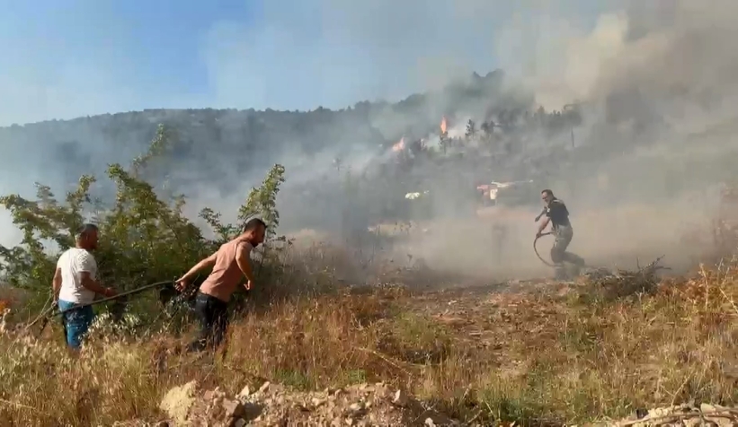 İznik'te orman yangını
