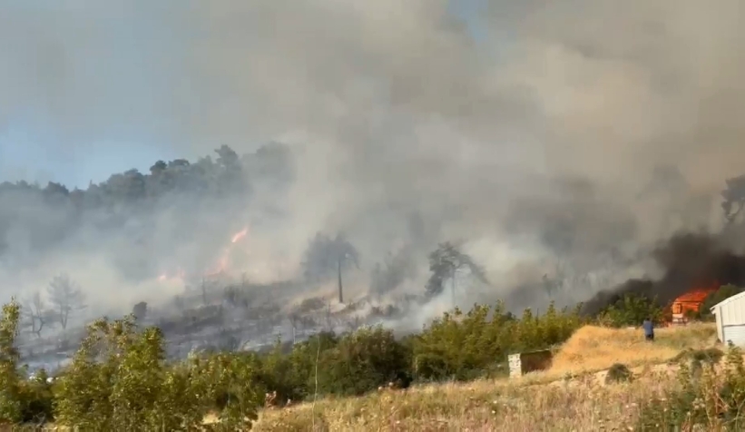 İznik'te orman yangını