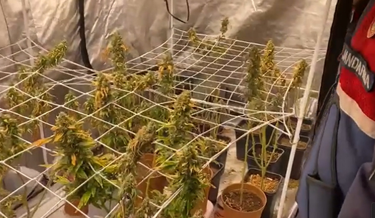 Jandarma bile şaşkına döndü