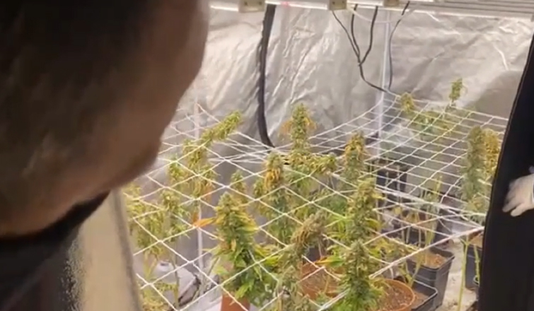 Jandarma bile şaşkına döndü