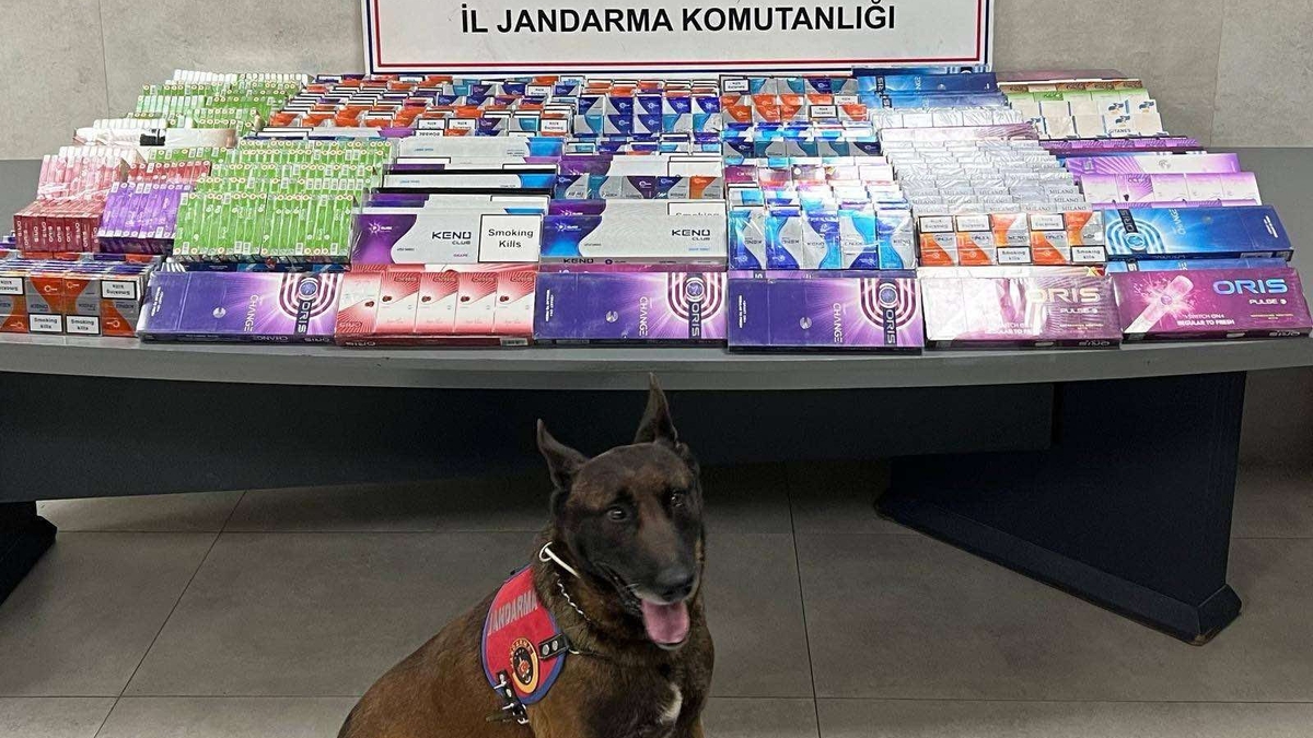 Jandarmadan büyük operasyon