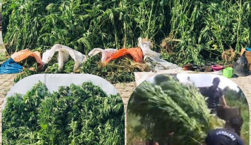 Jandarmadan büyük operasyon