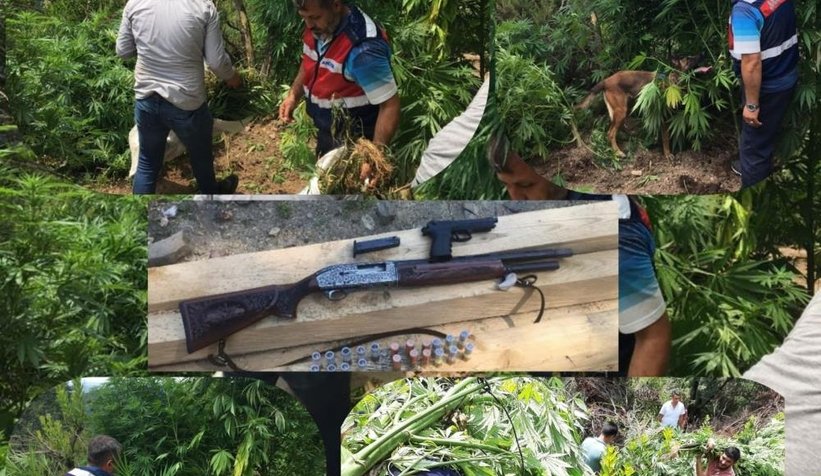 Jandarmadan büyük operasyon