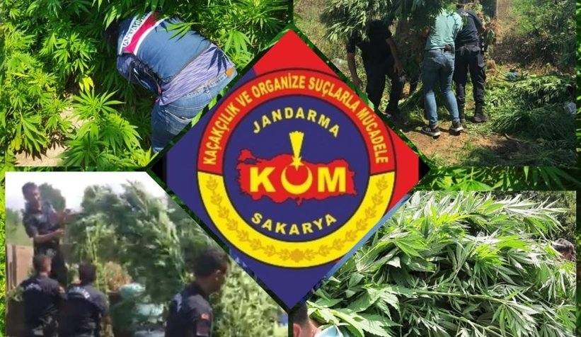 Jandarmadan büyük operasyon