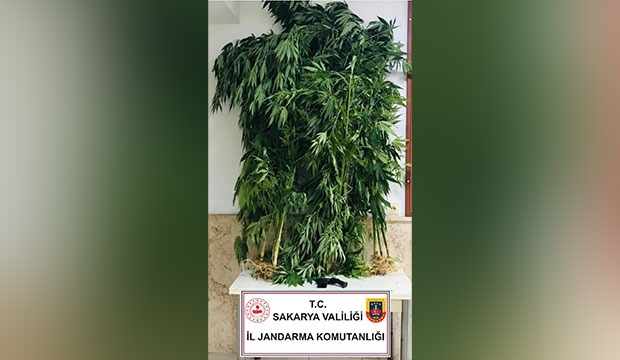 jandarmadan-darbe-ustune-darbezvvluexzyx