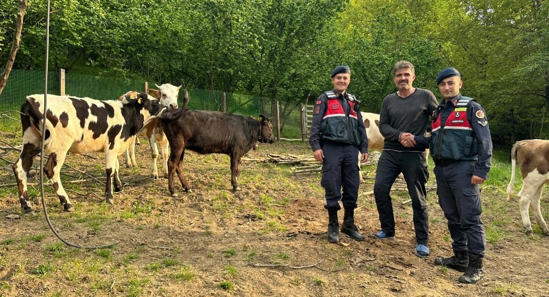 Jandarmadan havadan operasyon; 2 günde bulundular
