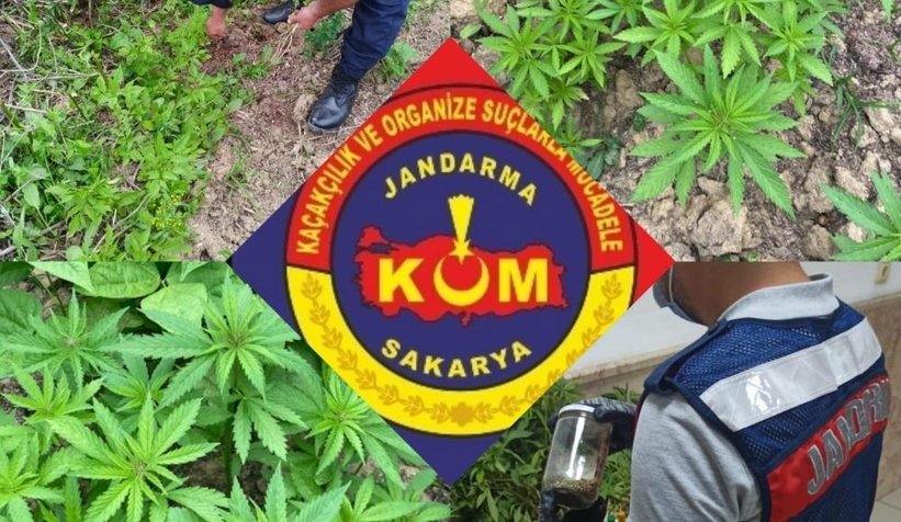 jandarmadan-kenevir-operasyonuajd5cmhqci