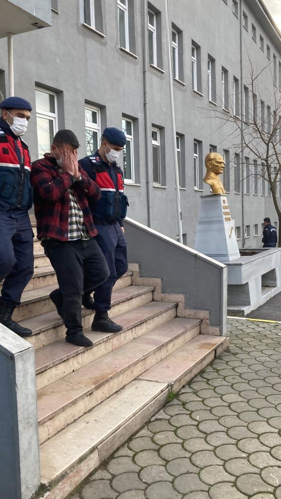 Jandarmadan tilki operasyonu