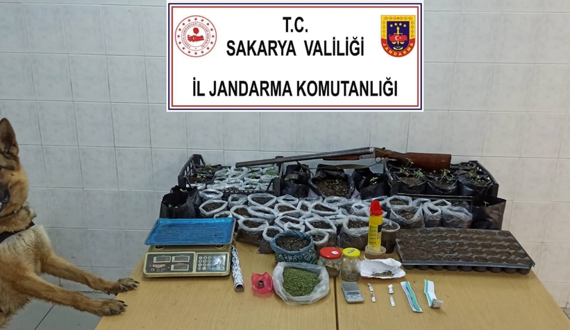 jandarmadan uyuşturucu operasyonu