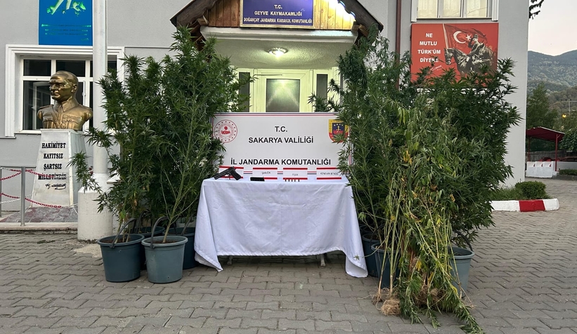 Jandarmadan uyuşturucu operasyonu