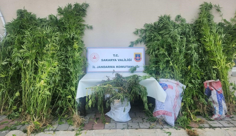 jandarmadan-uyusturucu-ve-kacakcilik-operasyonu-14-tutuklamaaujvztdpcx