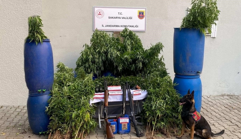 jandarmadan-uyusturucu-ve-kacakcilik-operasyonu-14-tutuklamaaujvztdpcx