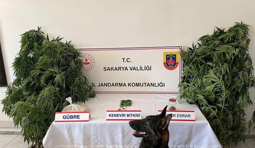 jandarmadan-uyusturucu-ve-kacakcilik-operasyonu-14-tutuklamaaujvztdpcx