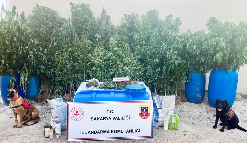 jandarmadan-zehir-tacirlerine-darbeznyrthvmde