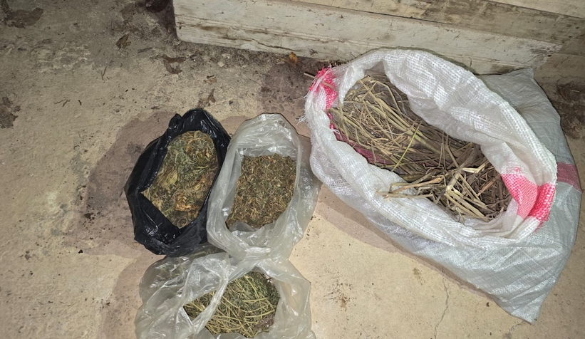 Jandarmanın Mart ayı uyuşturucu bilançosu