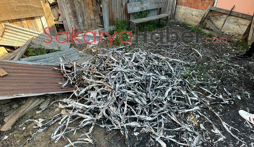 Kablo hırsızları fotokapanla yakalandı