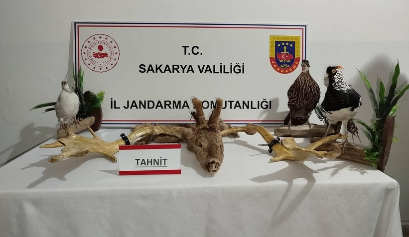 kacakcilik-operasyonu-98-hayvan-ele-gecirildibehdbfn2md