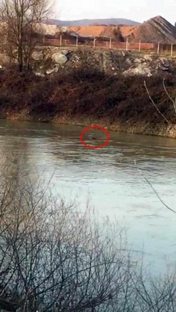 Kaçarken nehre atlayan kişi bakın kim çıktı