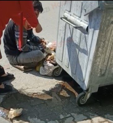 Çöpü karıştırmasına engel olamadı