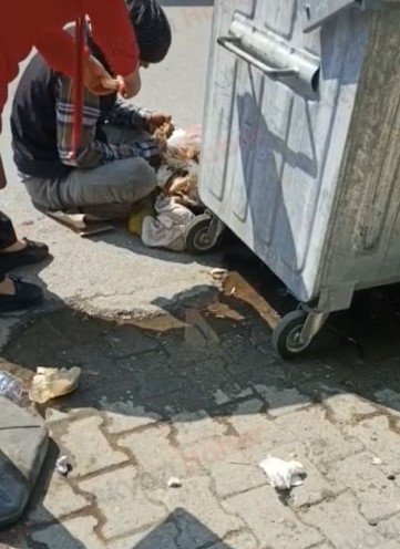 Çöpü karıştırmasına engel olamadı