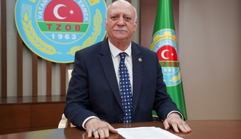 kahverengi-kokarca-aciklamasi-felaket-ile-karsi-karsiyayizrmwrn0dhbh