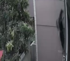 Kamera görüntüsünün yakalattığı hırsız azılı çıktı