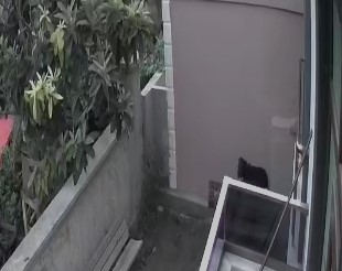 Kamera görüntüsünün yakalattığı hırsız azılı çıktı