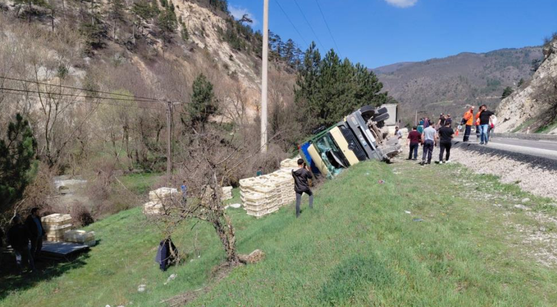 Kamyon devrildi; Tavuklar telef oldu