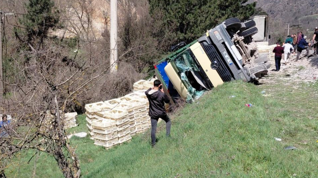 Kamyon devrildi; Tavuklar telef oldu