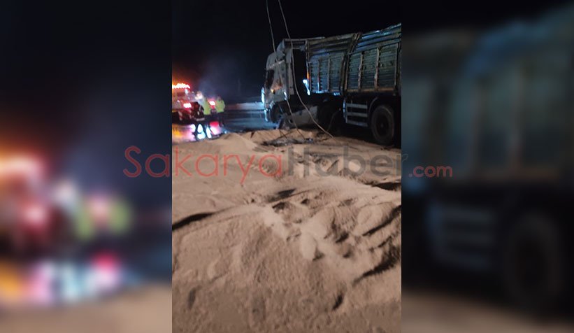 Kamyon devrildi, yemler yola saçıldı