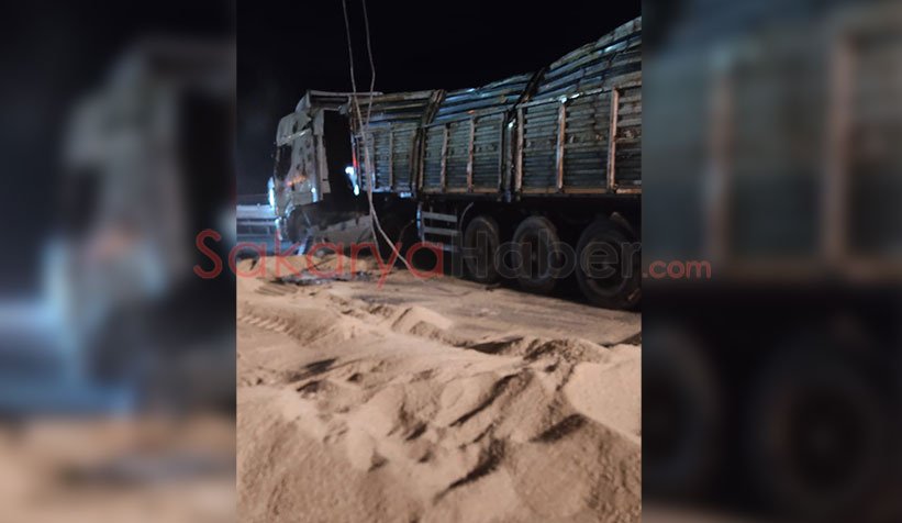 Kamyon devrildi, yemler yola saçıldı