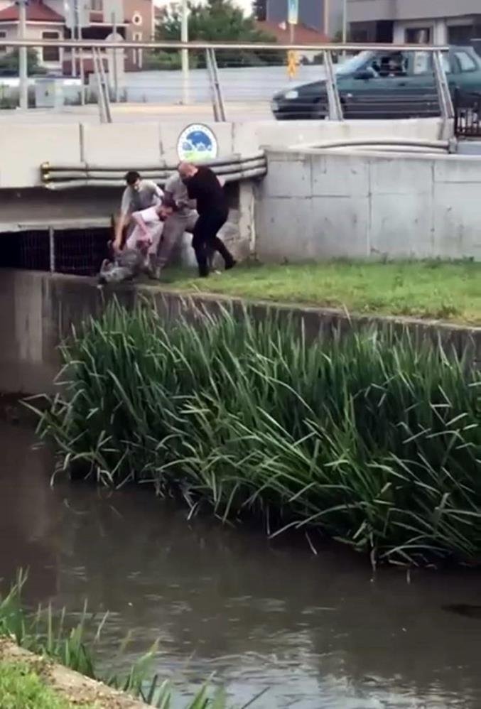 Kanala düşen köpek için seferber oldular