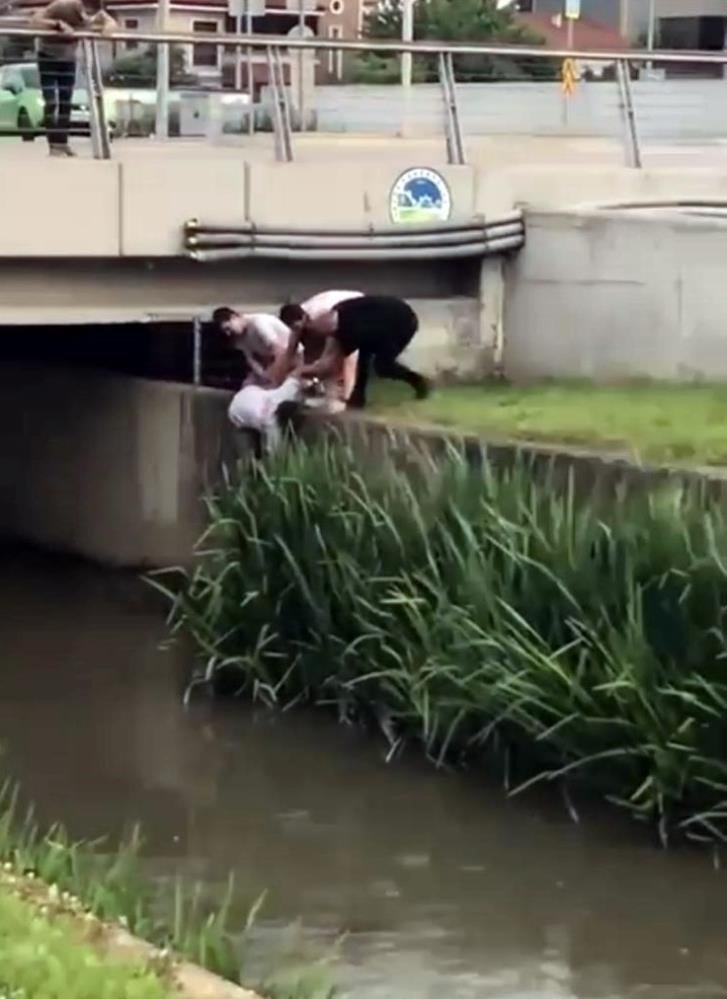 Kanala düşen köpek için seferber oldular