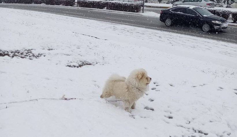 Kar geri döndü; Sakarya güne böyle uyandı