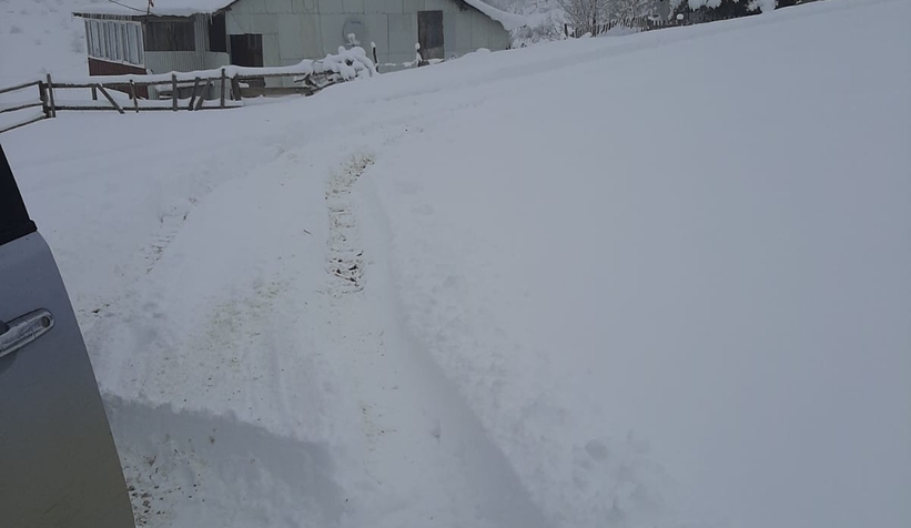 Kar yağdı yaylalara akın ettiler