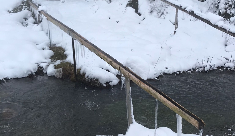 Kar yağdı yaylalara akın ettiler